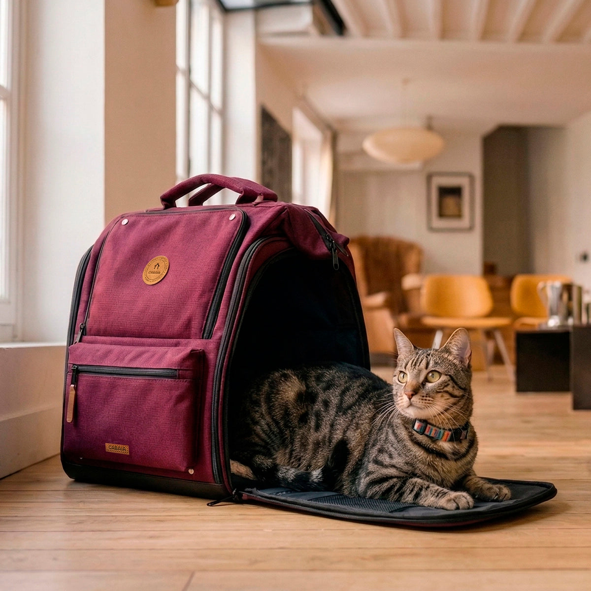 Sac à dos Adventurer pour Animaux Nice - Cabaia - 