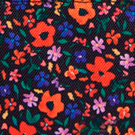 Pochette avant XS Indiana State Museum - Cabaia - 