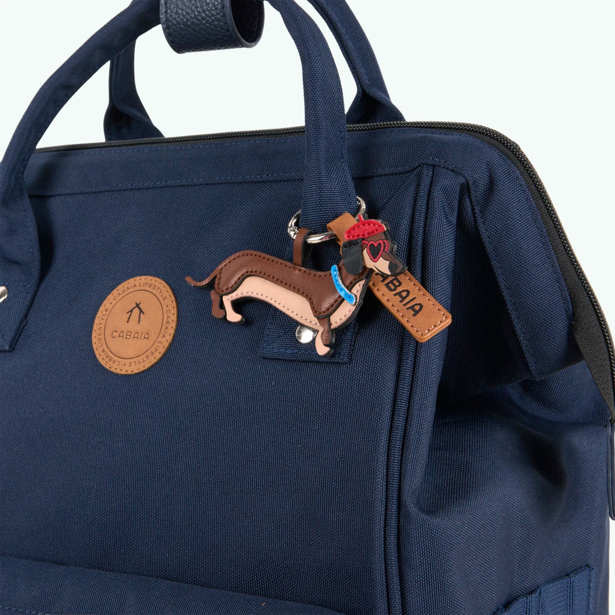 Charm Chien Teckel - Cabaia - 